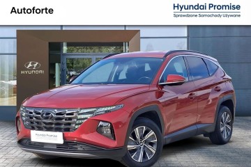 1.6 T-GDI HEV 230KM Executive * Salon PL * dealer Hyundai