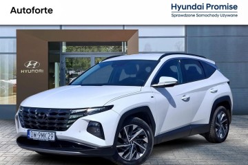 1.6 CRDI Executive * Salon PL * drugi silnik * dealer Hyundai